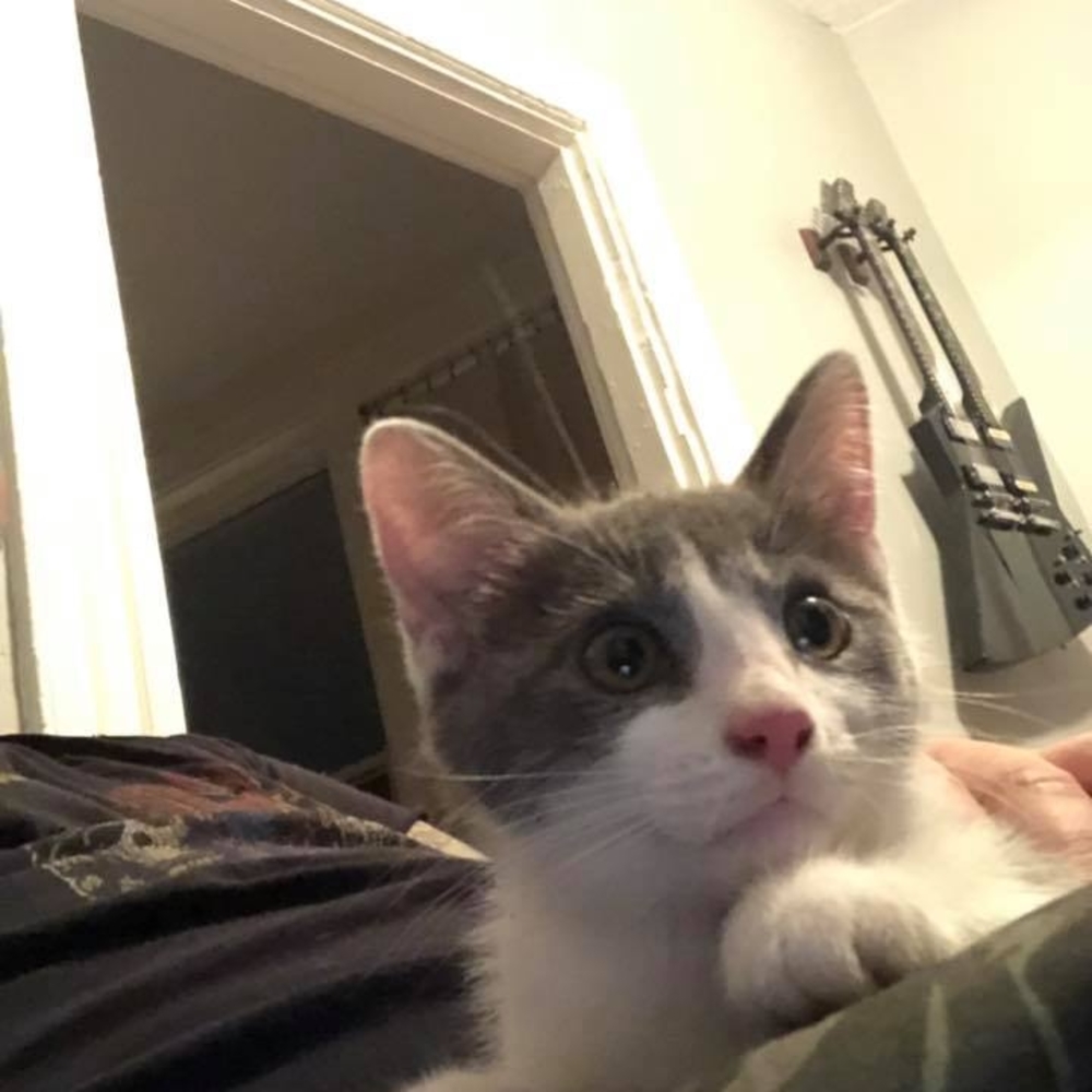 Meet your Posher, Miggy